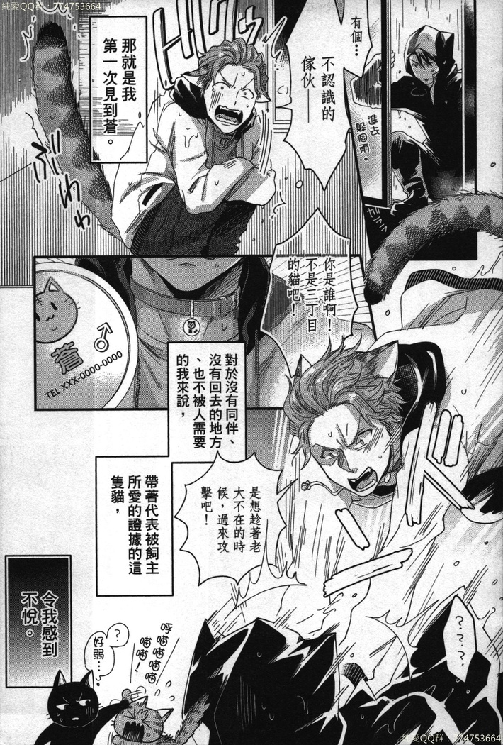 Hatsujou Kemono Hiyori | 發情野獸日和