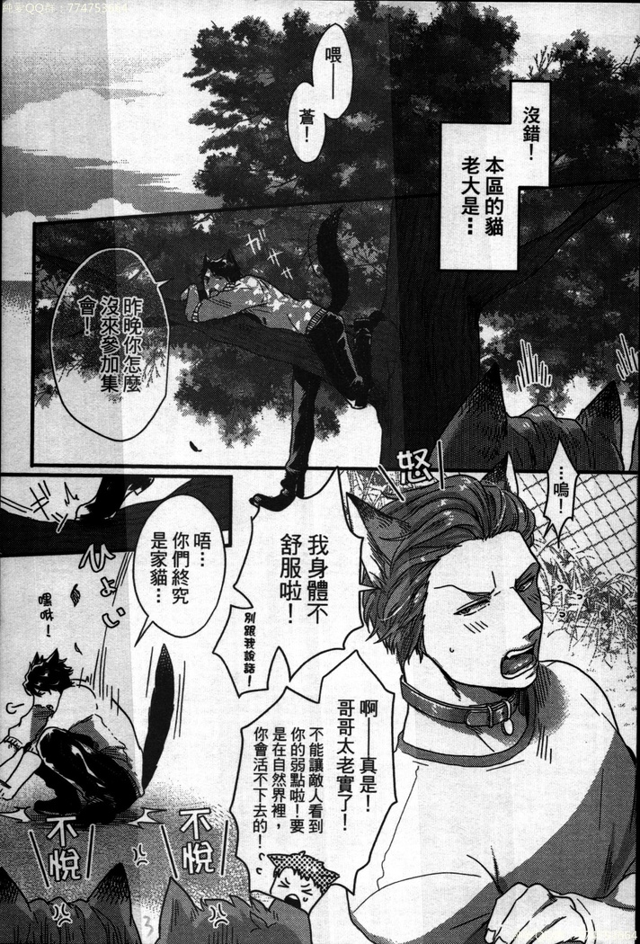 Hatsujou Kemono Hiyori | 發情野獸日和