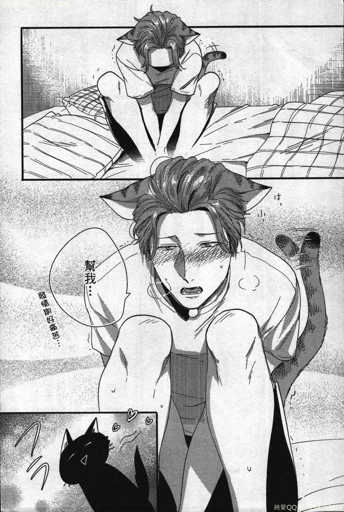 Hatsujou Kemono Hiyori | 發情野獸日和