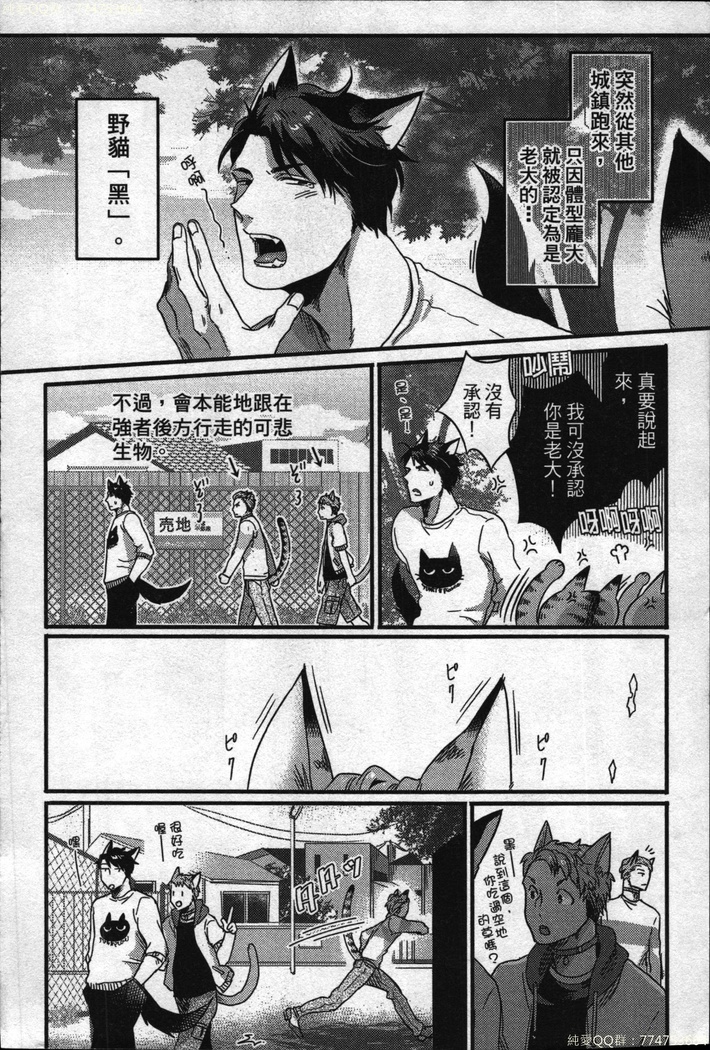 Hatsujou Kemono Hiyori | 發情野獸日和