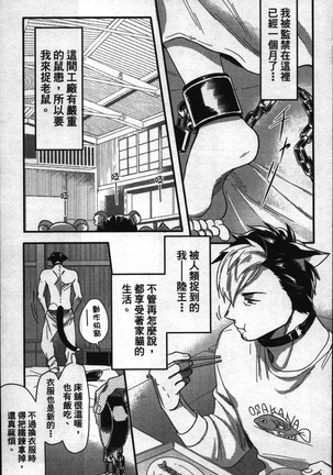 Hatsujou Kemono Hiyori | 發情野獸日和 Page #86