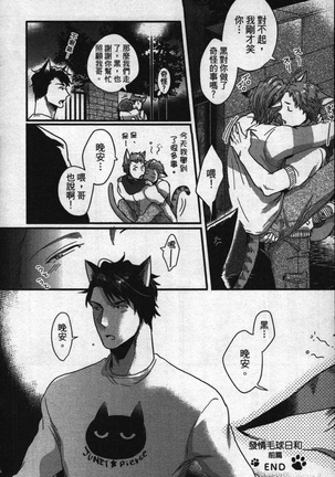 Hatsujou Kemono Hiyori | 發情野獸日和 Page #25