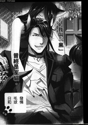 Hatsujou Kemono Hiyori | 發情野獸日和 Page #26