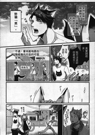 Image 6716392