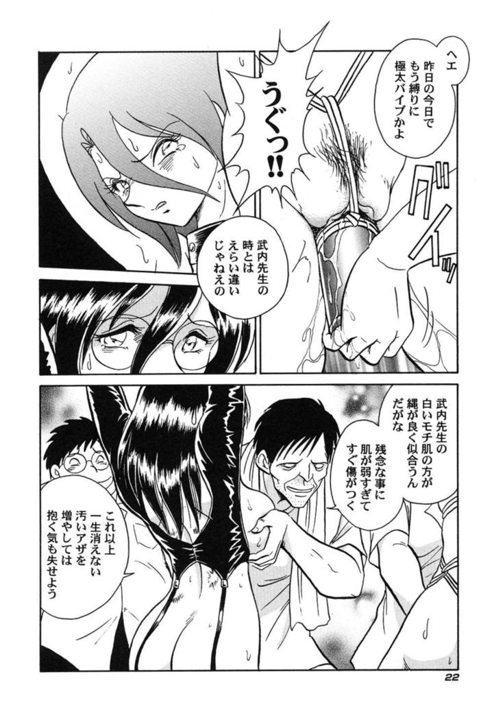 Hageshii Kagai Jugyou