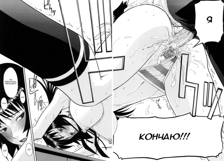 Itazura Senyou Hanahira Seitokaichou