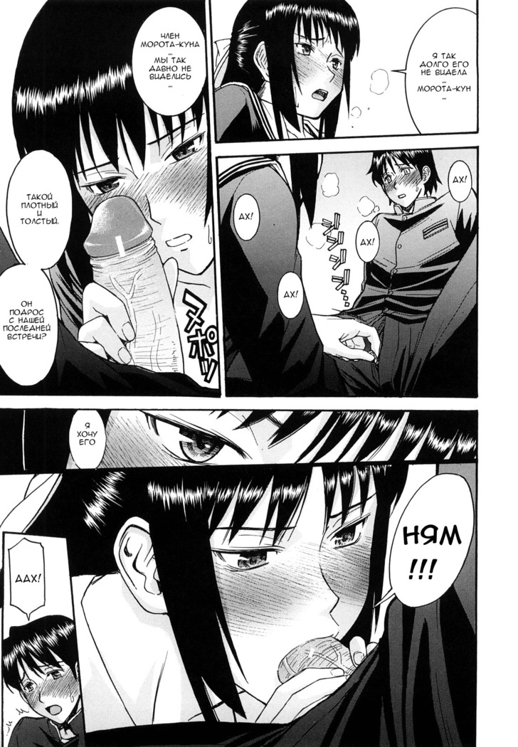 Itazura Senyou Hanahira Seitokaichou