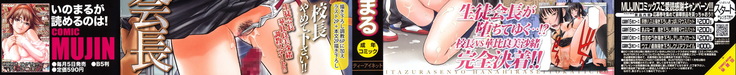 Itazura Senyou Hanahira Seitokaichou