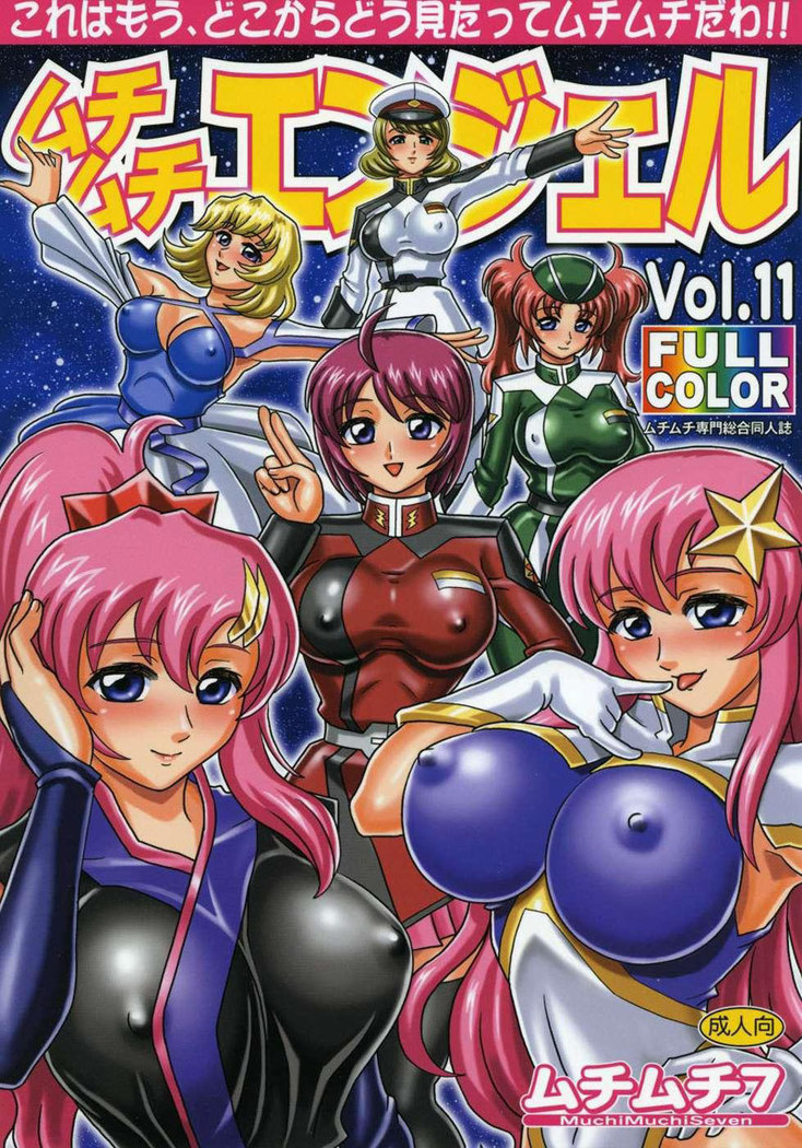Gundam Seed Destiny - Muchi Muchi Angel 11