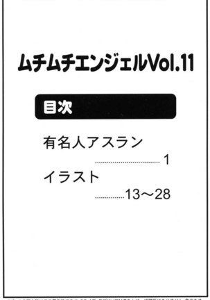 Gundam Seed Destiny - Muchi Muchi Angel 11 - Page 2