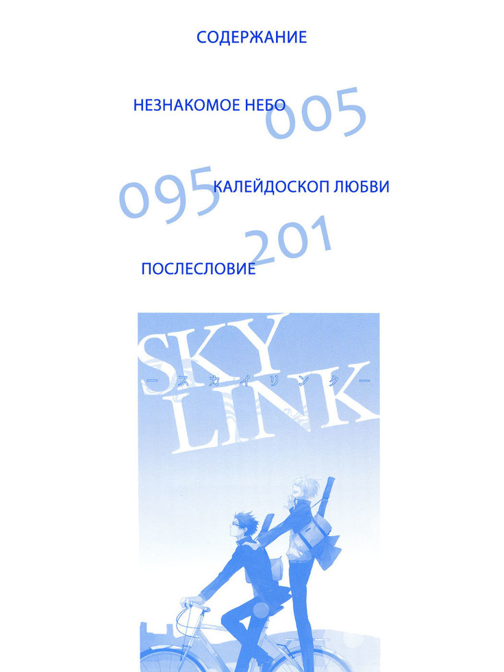 Sky Link