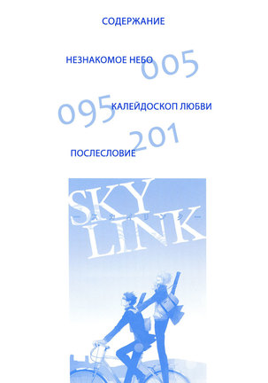 Sky Link