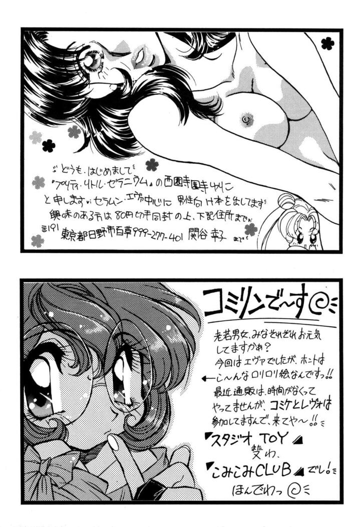 ProjectE Daiichiji Chuukanhoukoku