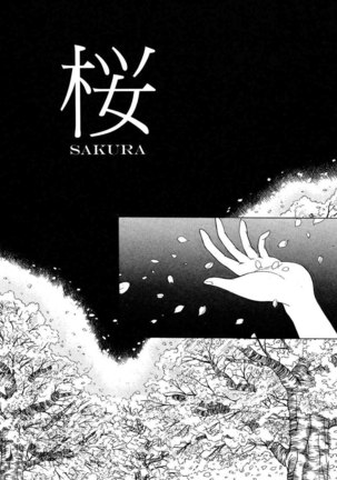 Innocence8 - Sakura Page #3