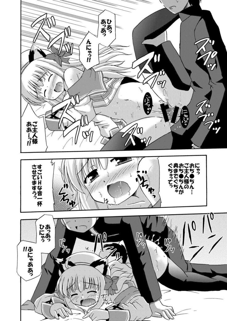 Daikanyama 1-ri Gachi!?