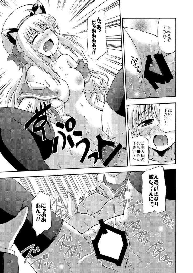 Daikanyama 1-ri Gachi!?