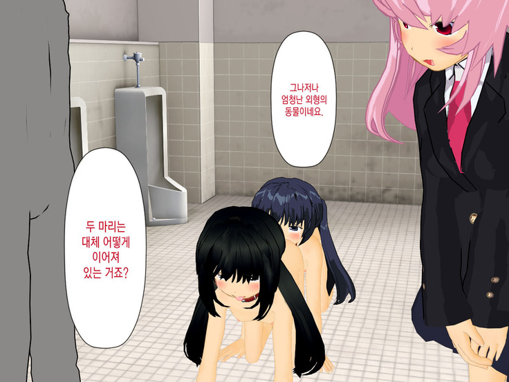 Muriyari AV Joyuu Ayane-chan