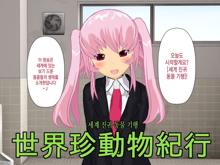 Muriyari AV Joyuu Ayane-chan
