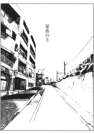 Image 5289290