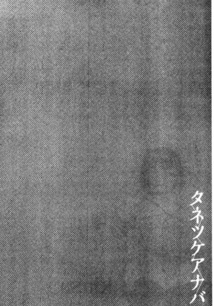 タネツケアナバ 授孕播種好所在 Page #186