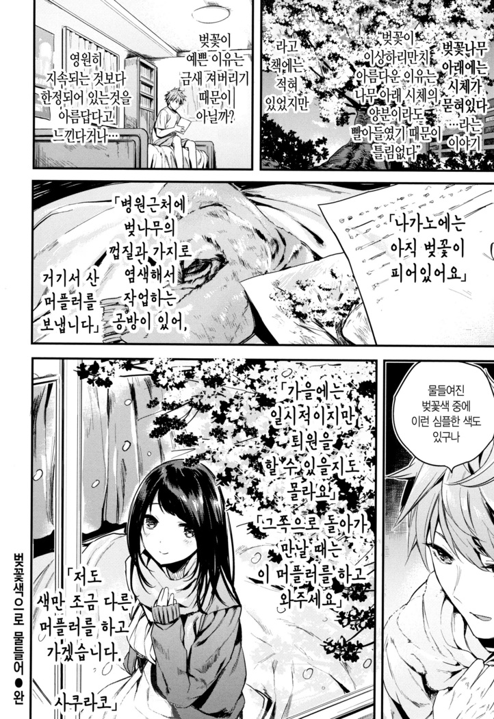 Icha Bitch | 요망한비치