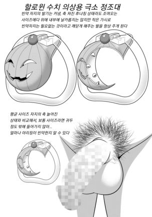 Image 9490662