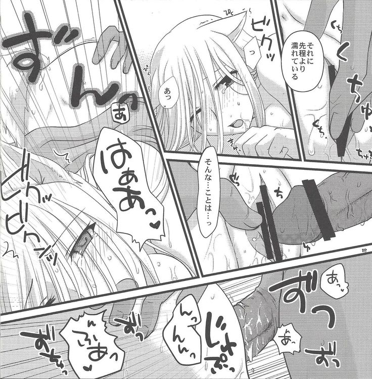 Ao zukin-san to shiro okami-san