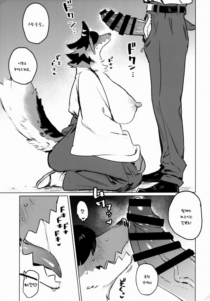 Den-chan no Souiu Hon