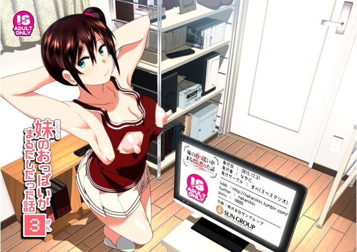 Imouto no Oppai ga Marudashi Datta Hanashi 3