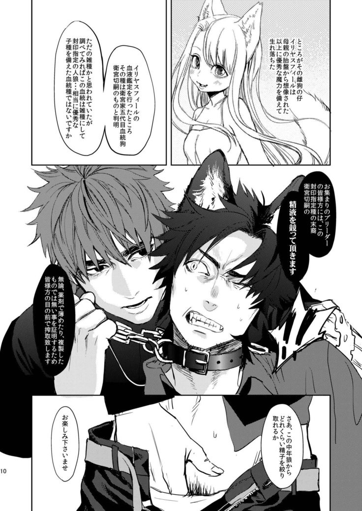 Fate/Wolf