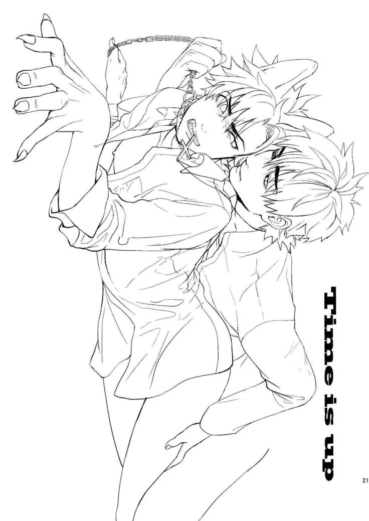 Fate/Wolf