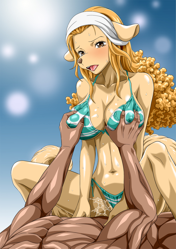 Nel-Zel Formula Yuthirasuru