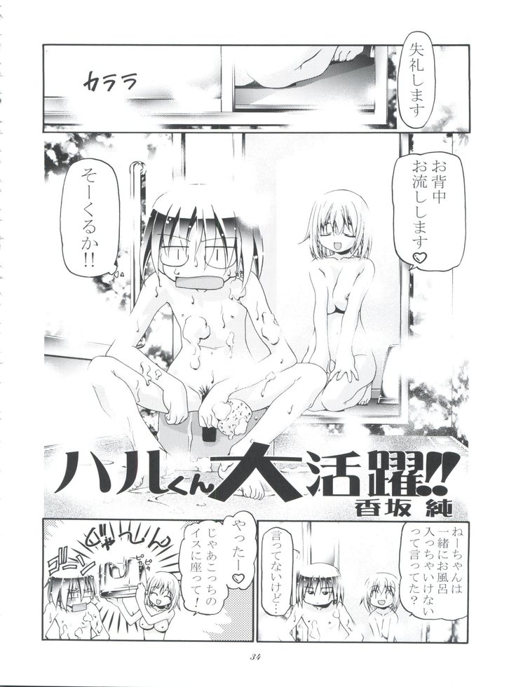 Cattleya Nee-chan Daikatsuyaku!!