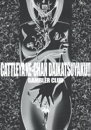 Cattleya Nee-chan Daikatsuyaku!! - Page 3
