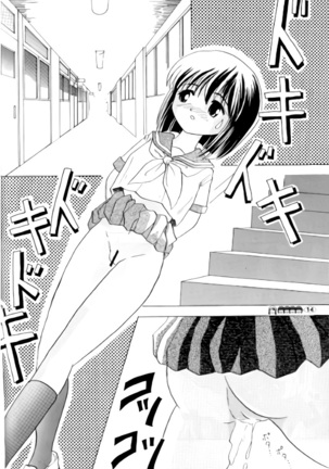 Sachina no Koukou Nikki 1 Page #13