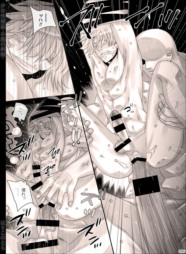 Shounen Seishokukan - Shouryuu no Konin