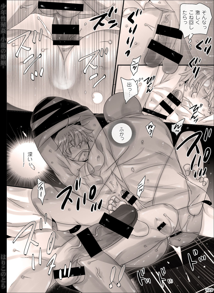 Shounen Seishokukan - Shouryuu no Konin