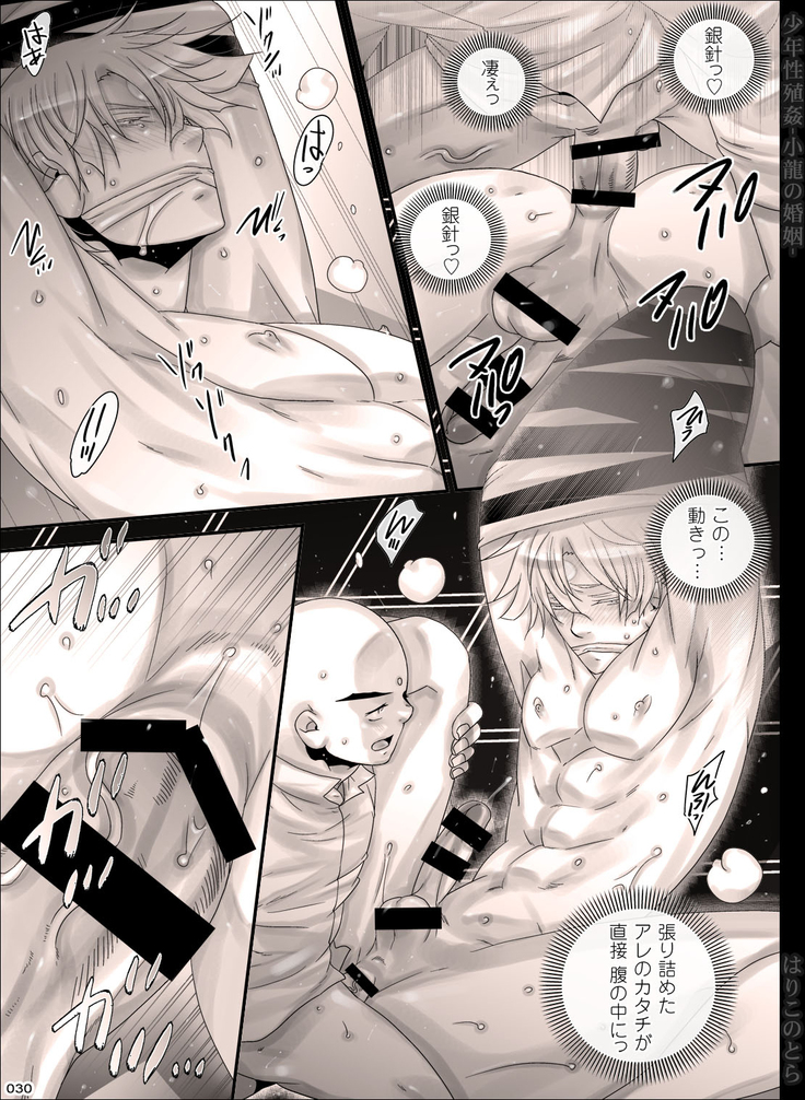 Shounen Seishokukan - Shouryuu no Konin