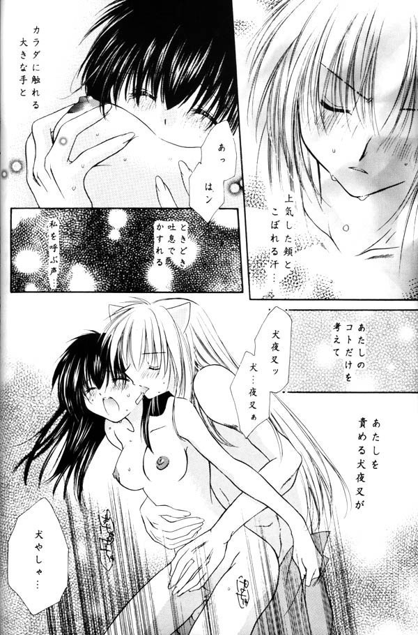 Koikaze Fukaba Akanezora