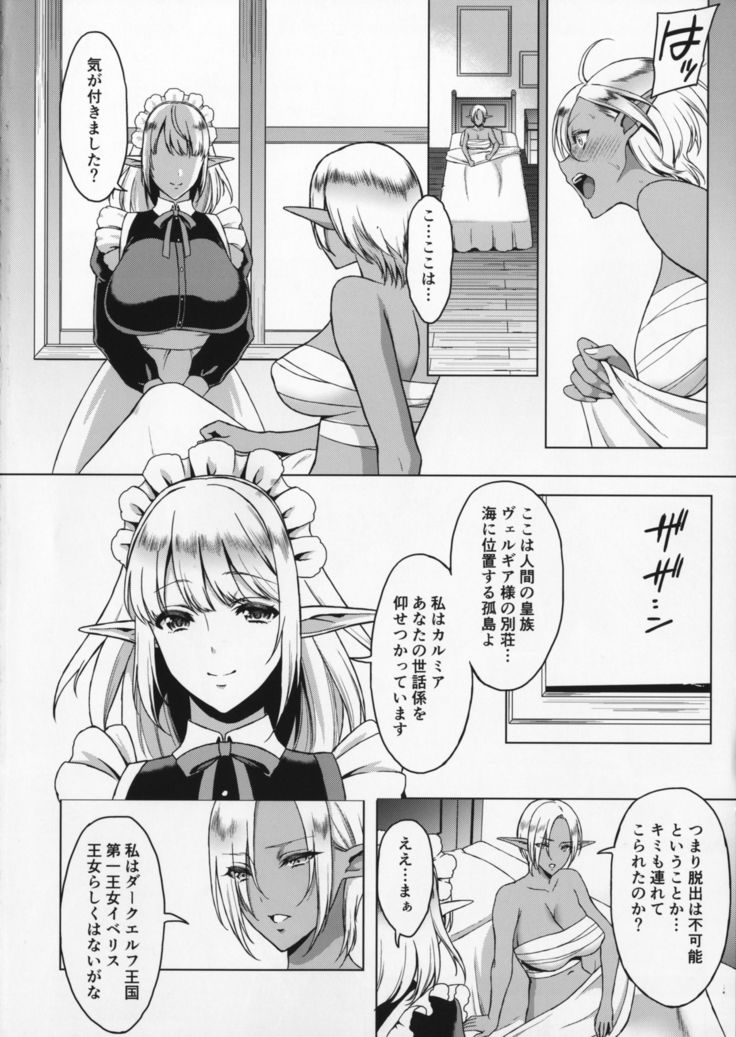 Reizoku Elf Maid + C91 Kaijou Genteibon