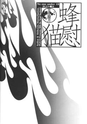 (C70) [Pleco (Chikiko) Full Moon of 100 Years (BLEACH) Page #3