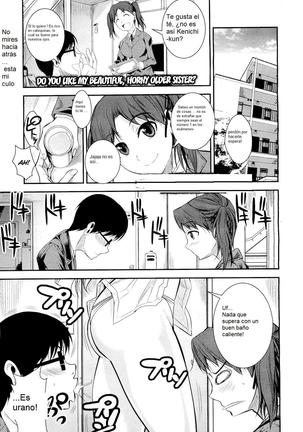 Kirei de Yarashii Oneesan wa, Suki Desuka? | Do You Like My Beautiful, Horny Older Sister? - Page 1