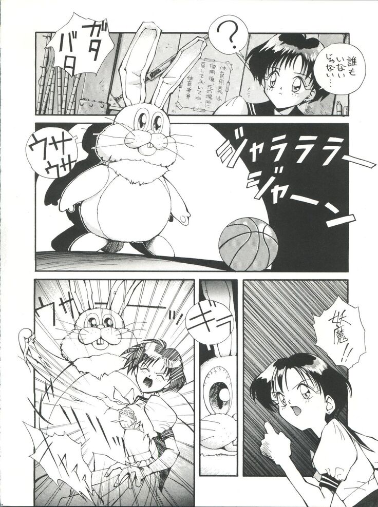 Suke Sailor Moon Moon