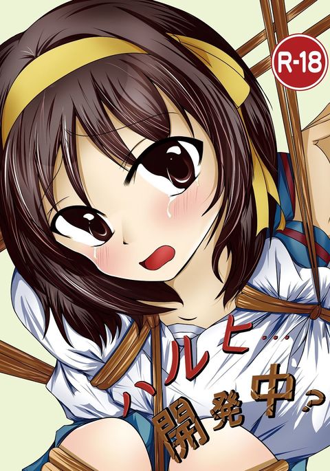 Haruhi... Kaihatsuchuu?