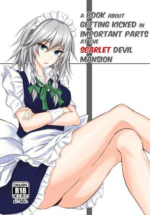 Koumakan de Daiji na Tokoro o Kerareru Hon | A book about getting kicked in important parts at the Scarlet Devil Mansion Page #1
