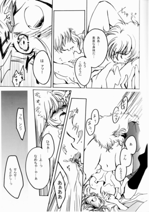 花ぞ降りしく Page #14