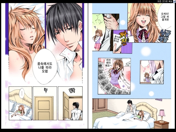 Naisho no Love Mariage | 비밀의 결혼
