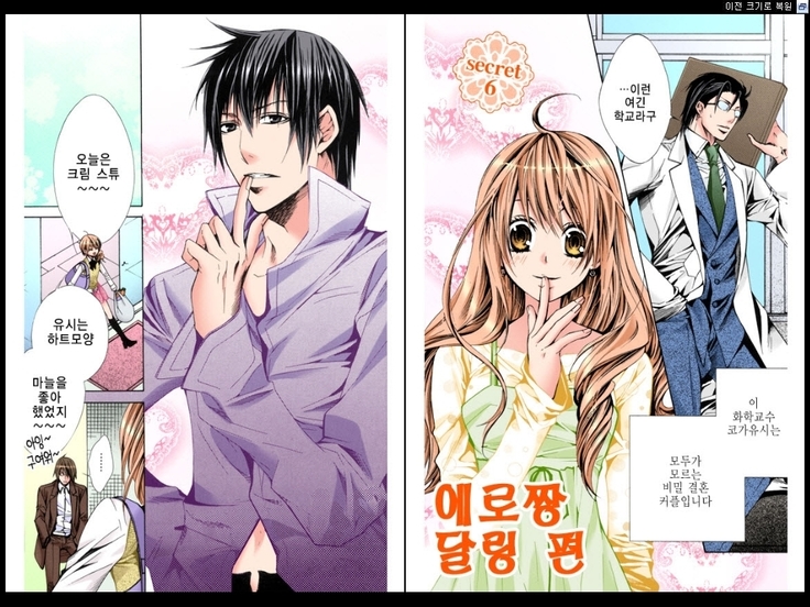 Naisho no Love Mariage | 비밀의 결혼