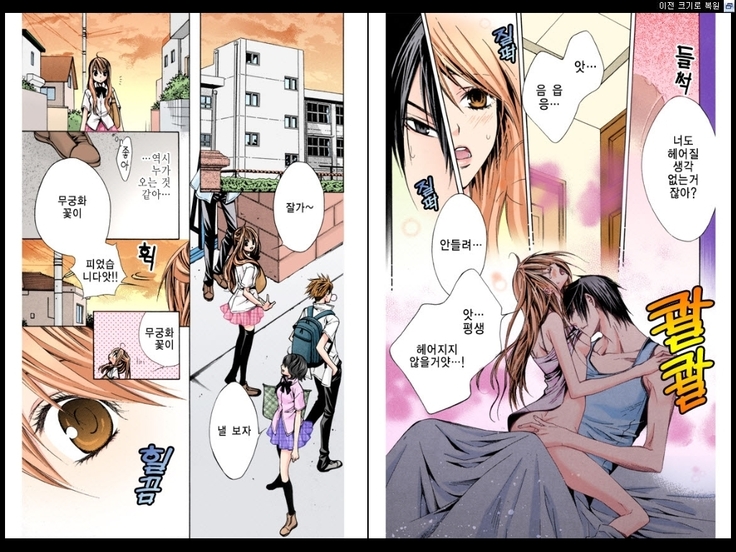 Naisho no Love Mariage | 비밀의 결혼