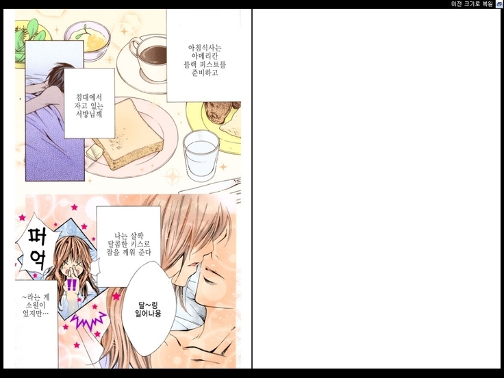 Naisho no Love Mariage | 비밀의 결혼